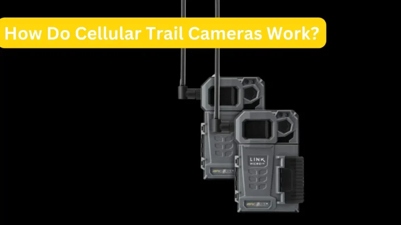 How Do Cellular Trail Cameras Work?